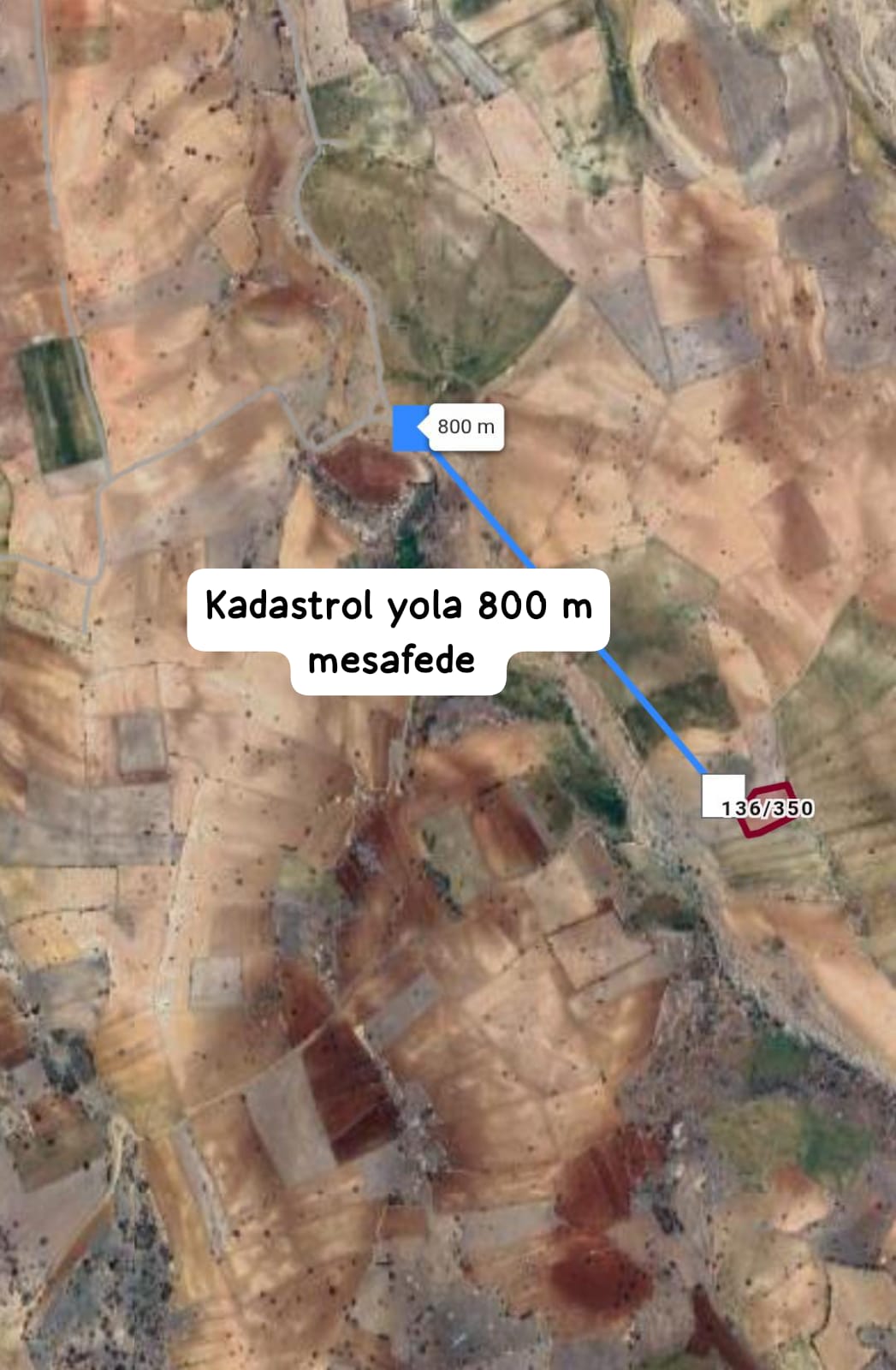 Fotoğraf